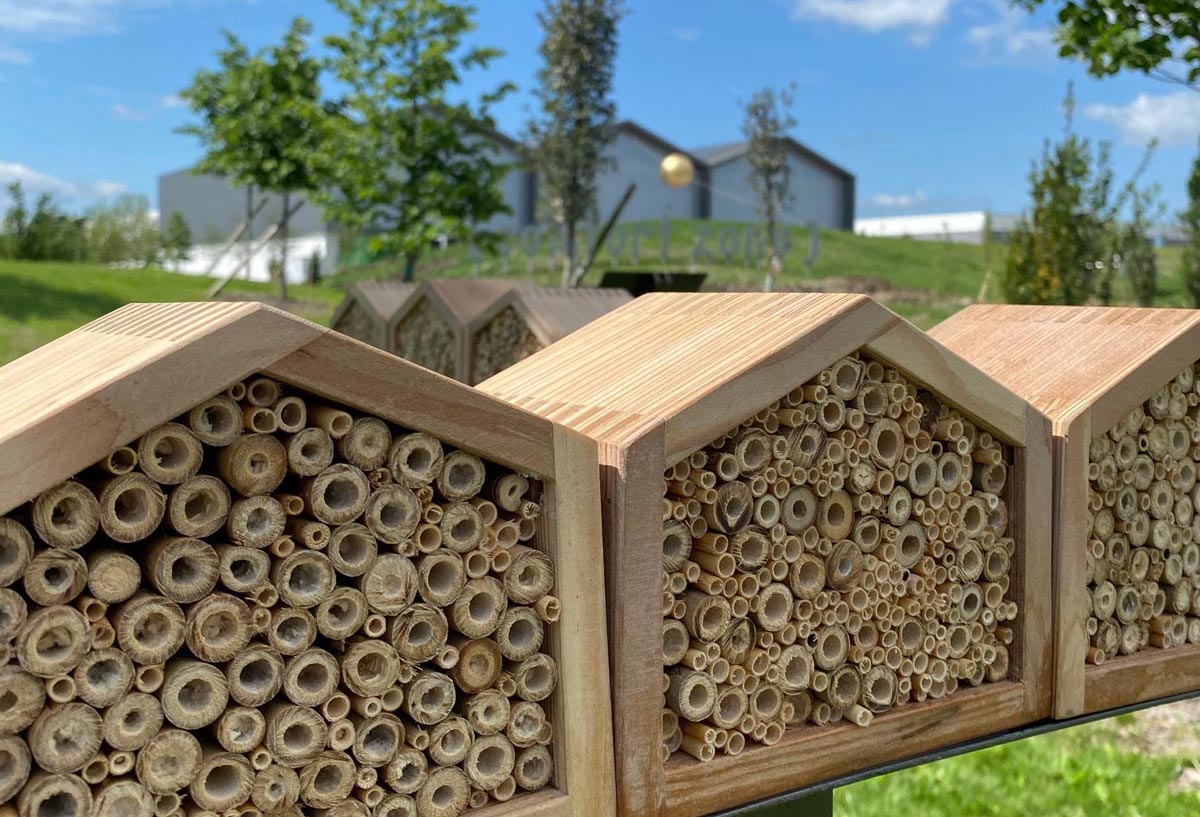 World Bee Day Davines