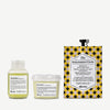 Dry Hair Travel Set Kit designed to deeply moisturize hair 0 pz.  Davines
